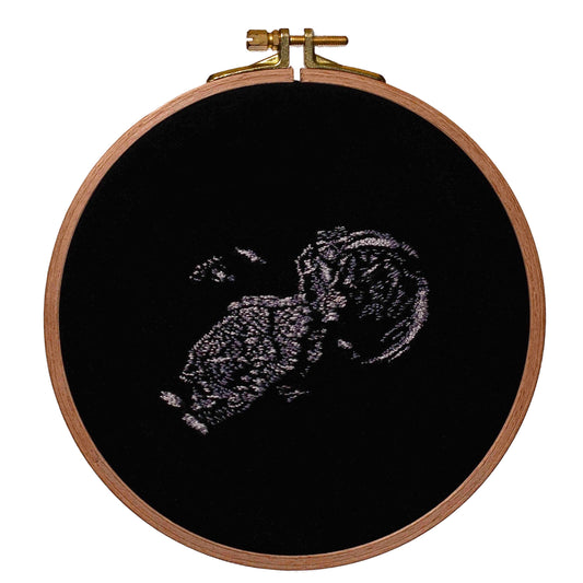 Luxury Baby Scan Embroidery - Large Hoop